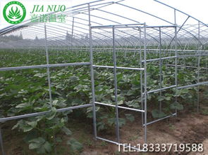 盘锦蔬菜种植大棚 投资与盈利前景分析