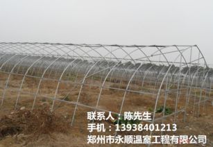山西蔬菜温室大棚建设的卓越选择 专业公司引领现代农业新风尚