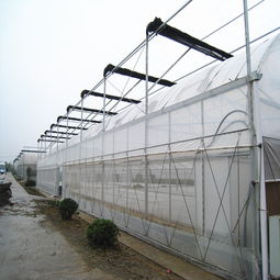 河南郑州中牟葡萄大棚卡槽厂家现货供应，助力温室大棚高效建设