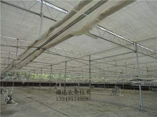 阳光板温室专业建造公司的建造标准全解析