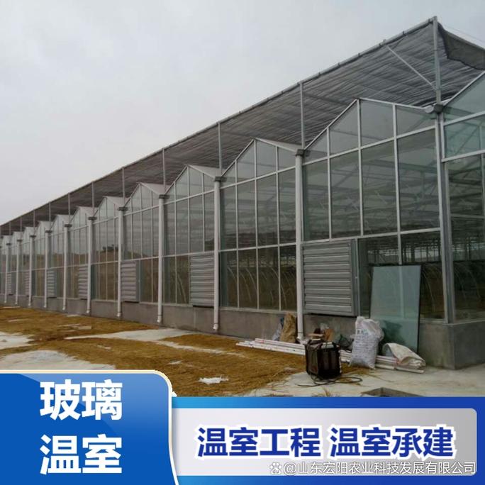 山西育苗温室大棚农业发展的新希望之地