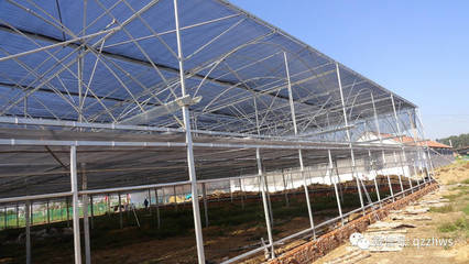 温室大棚的建造方法及设计方案全解析