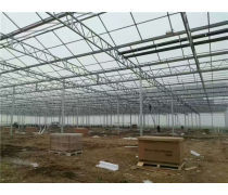 科技赋能，智造未来 现代化温室大棚产品库全解析